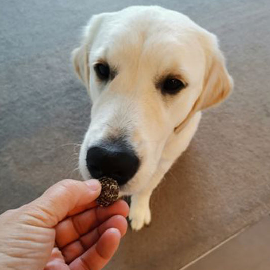 Another winner for Tommy with bliss balls