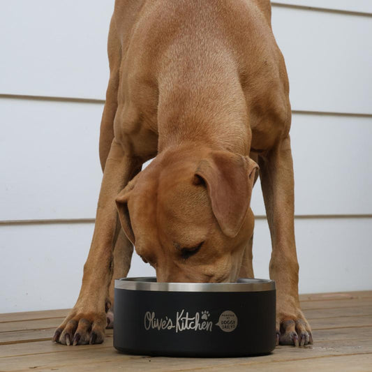 Olive's Kitchen Dog Bowl